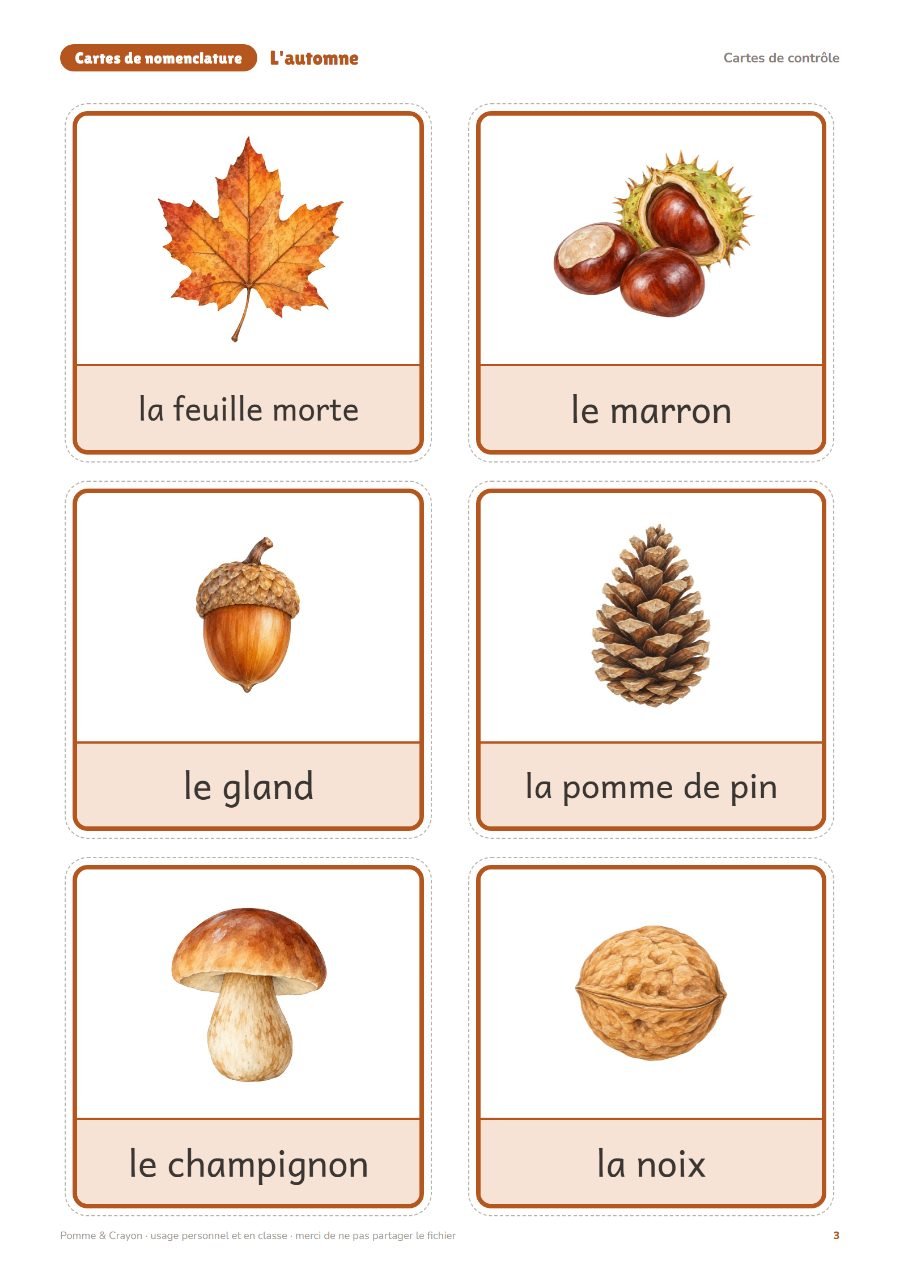 L'automne : Les cartes de contrôle