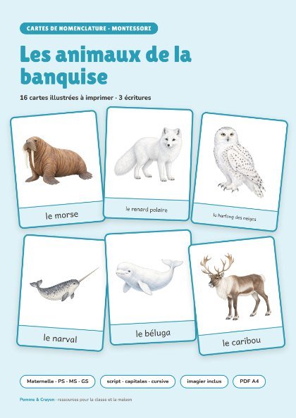 Les animaux de la banquise : La couverture
