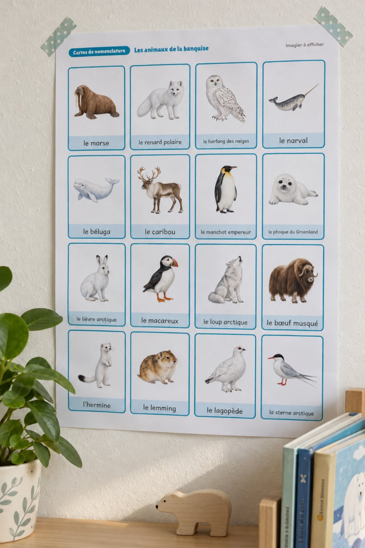 Les animaux de la banquise : affiché au mur