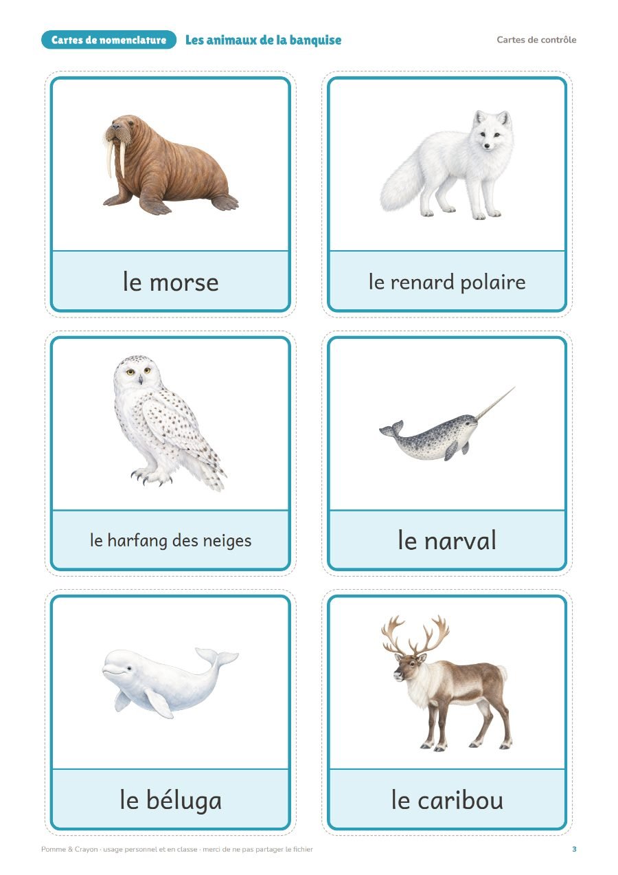 Les animaux de la banquise : Les cartes de contrôle