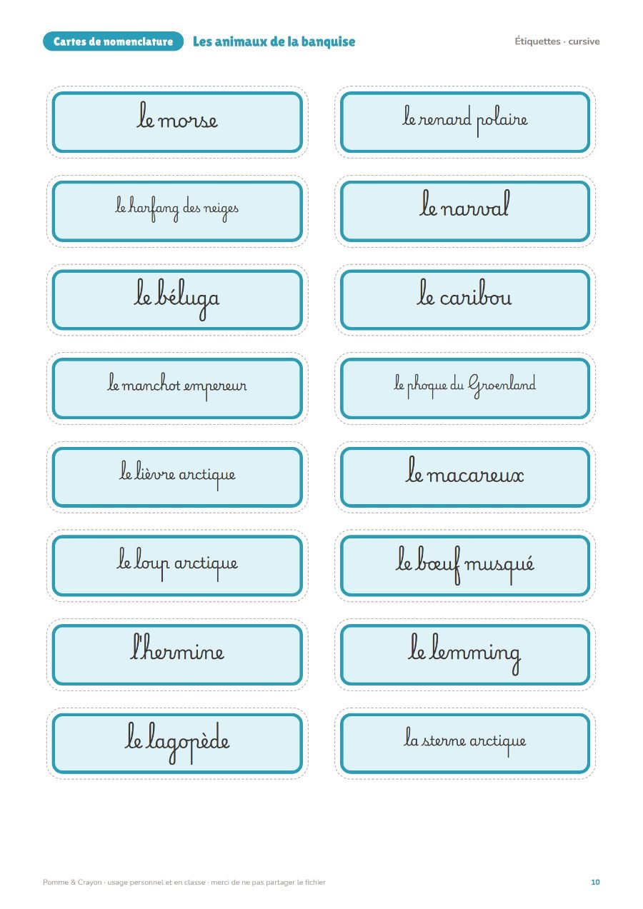 Les animaux de la banquise : Les étiquettes en cursive