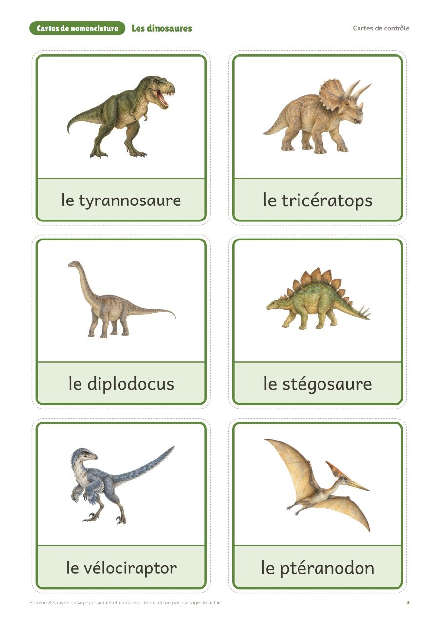 Les dinosaures : Les cartes de contrôle