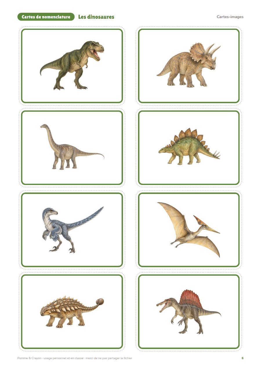 Les dinosaures : Les cartes-images