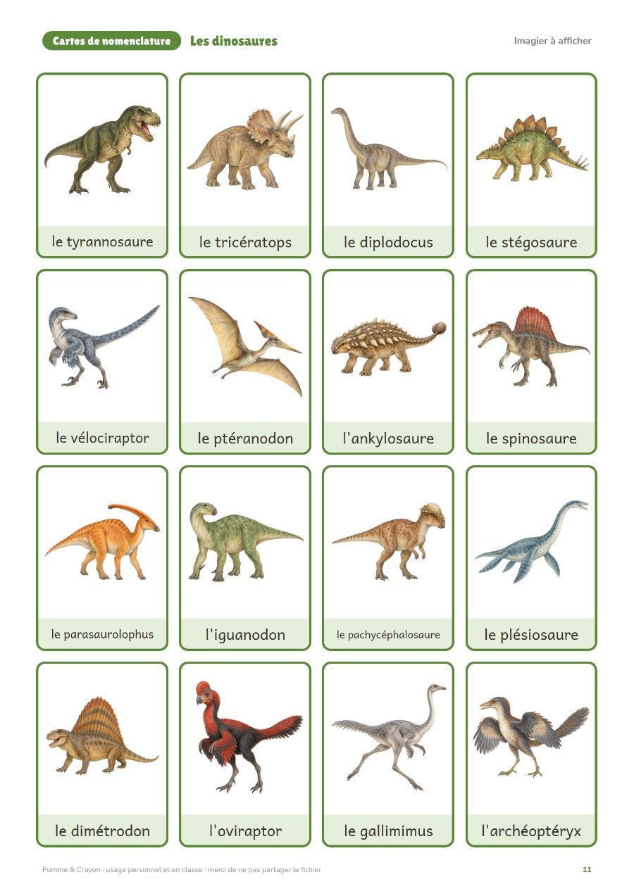 Les dinosaures : L'imagier à afficher