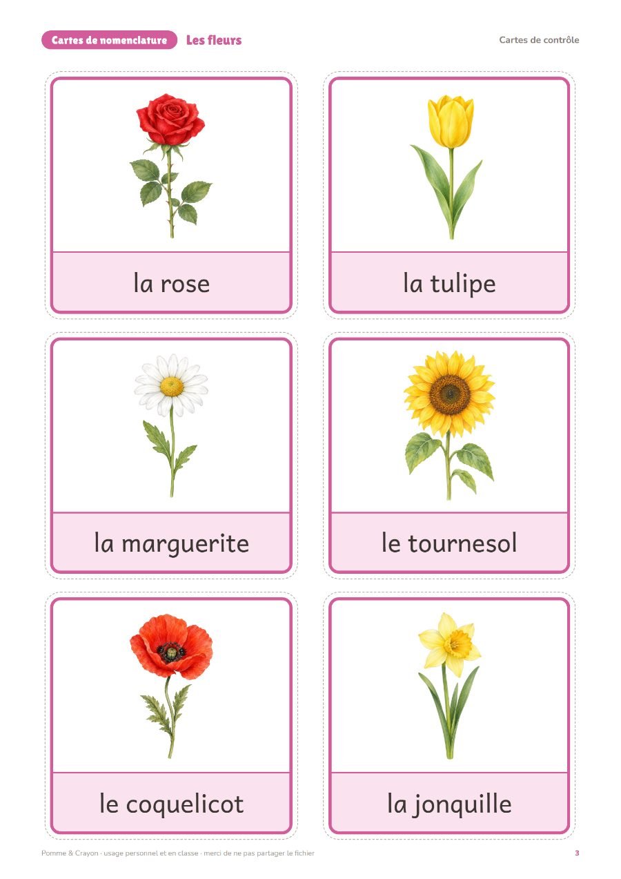 Les fleurs : Les cartes de contrôle