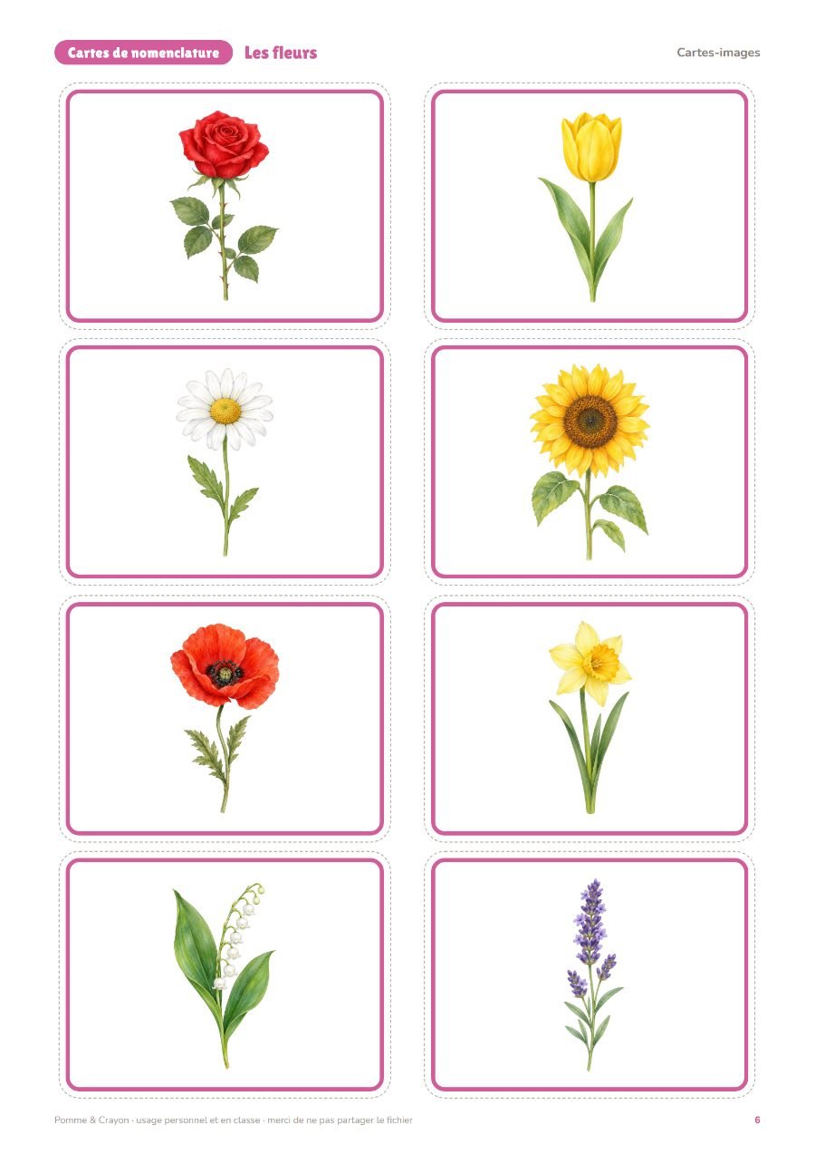 Les fleurs : Les cartes-images