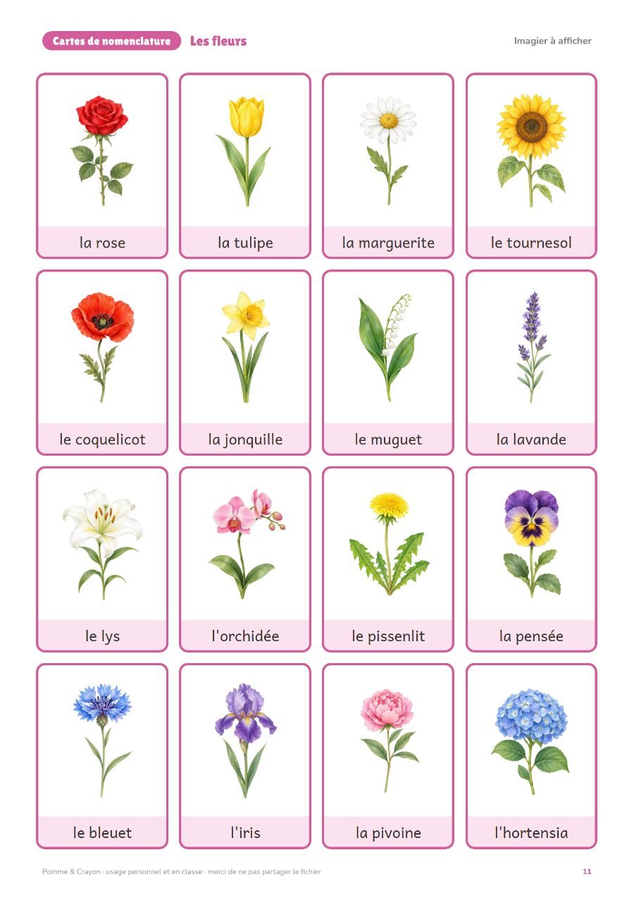 Les fleurs : L'imagier à afficher