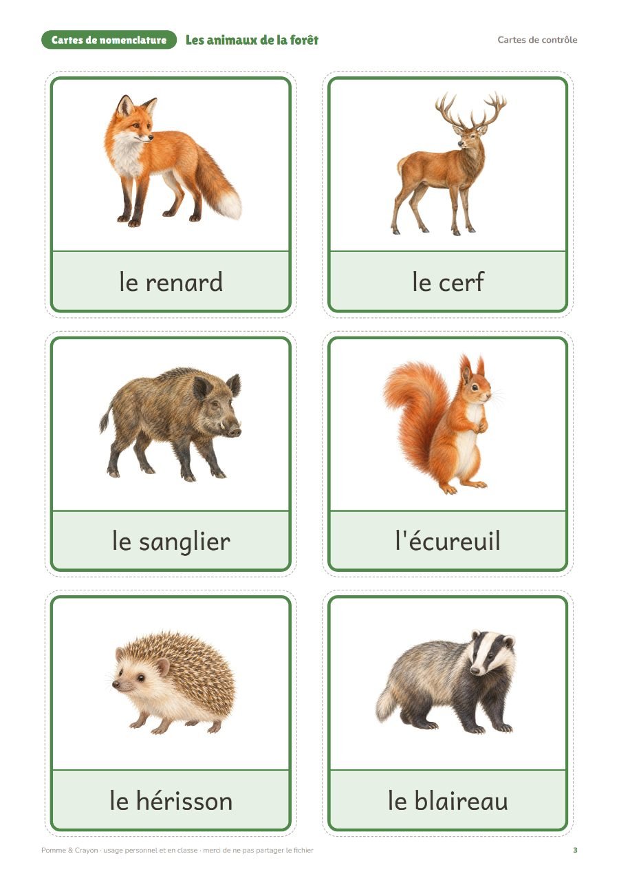 Les animaux de la forêt : Les cartes de contrôle