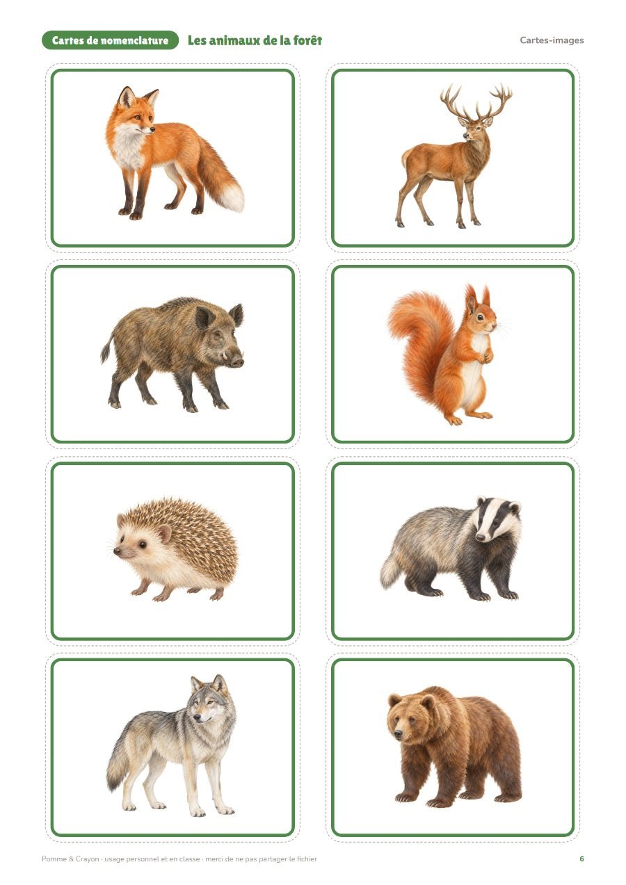 Les animaux de la forêt : Les cartes-images