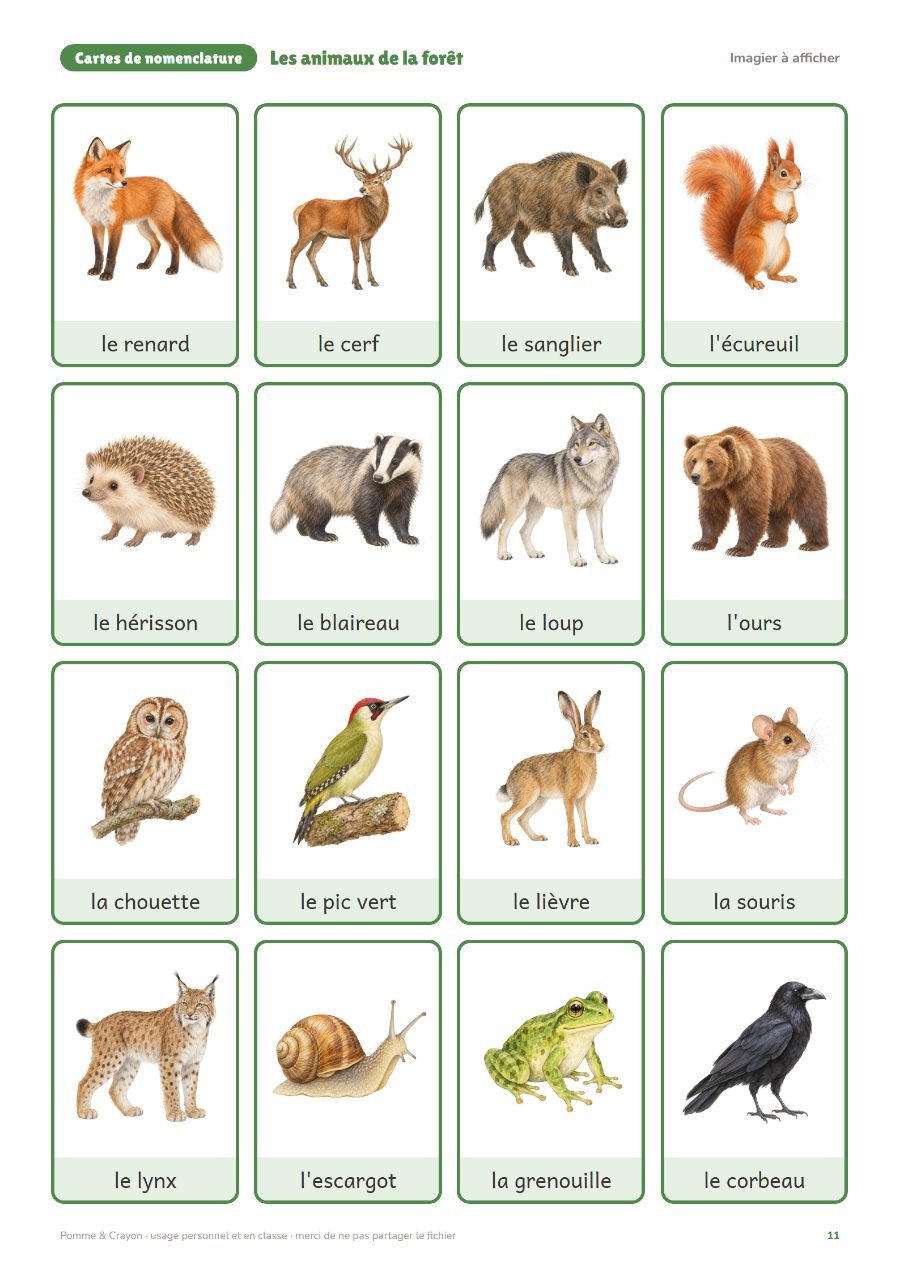Les animaux de la forêt : L'imagier à afficher