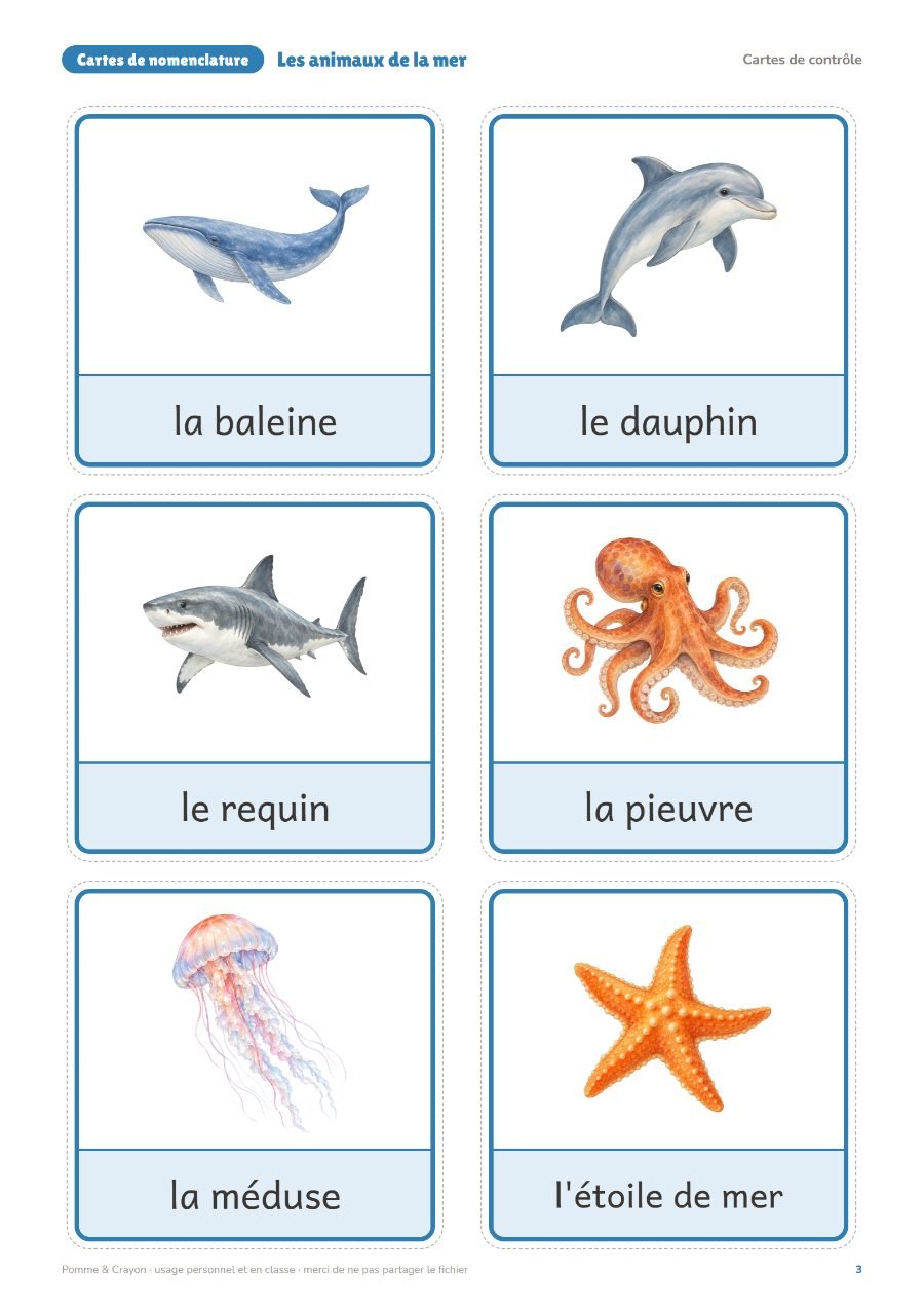 Les animaux de la mer : Les cartes de contrôle