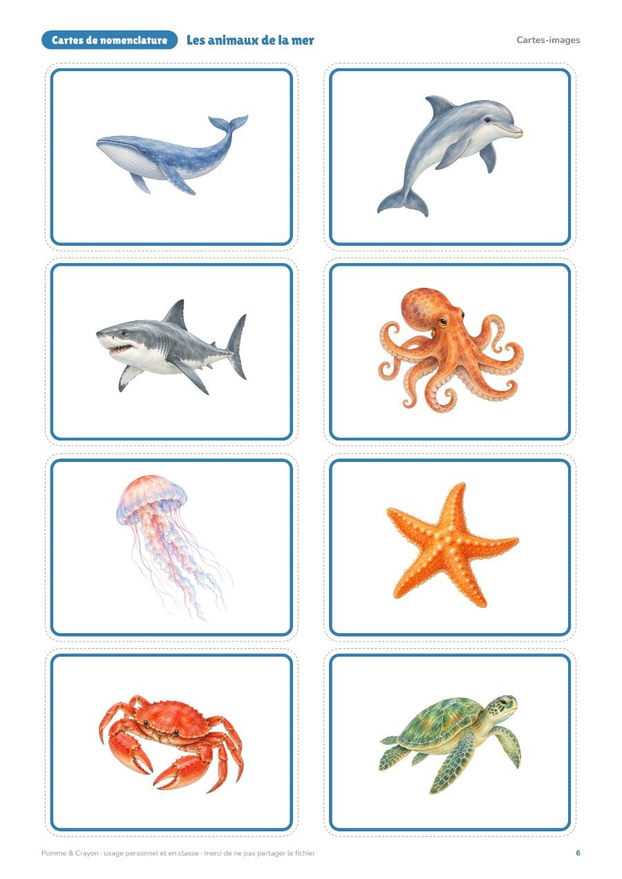 Les animaux de la mer : Les cartes-images