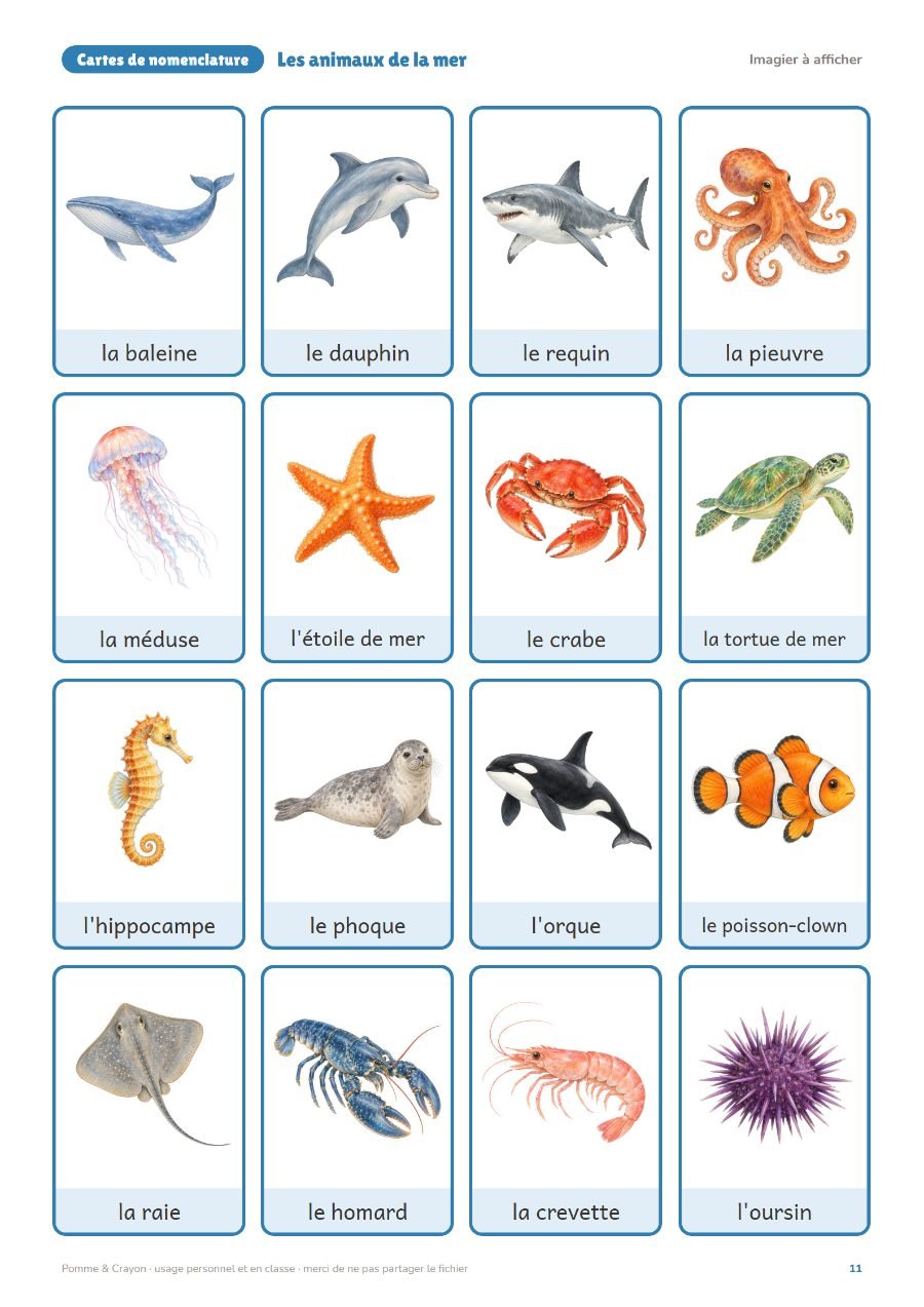 Les animaux de la mer : L'imagier à afficher
