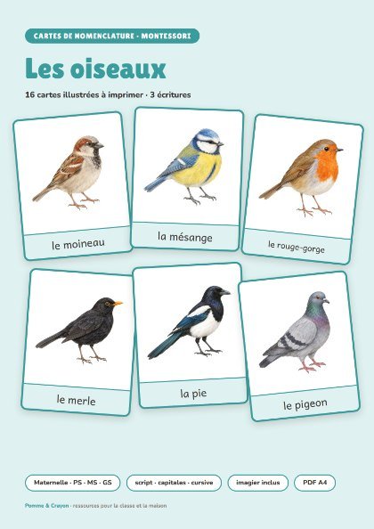 Cartes de nomenclature à imprimer : Les oiseaux
