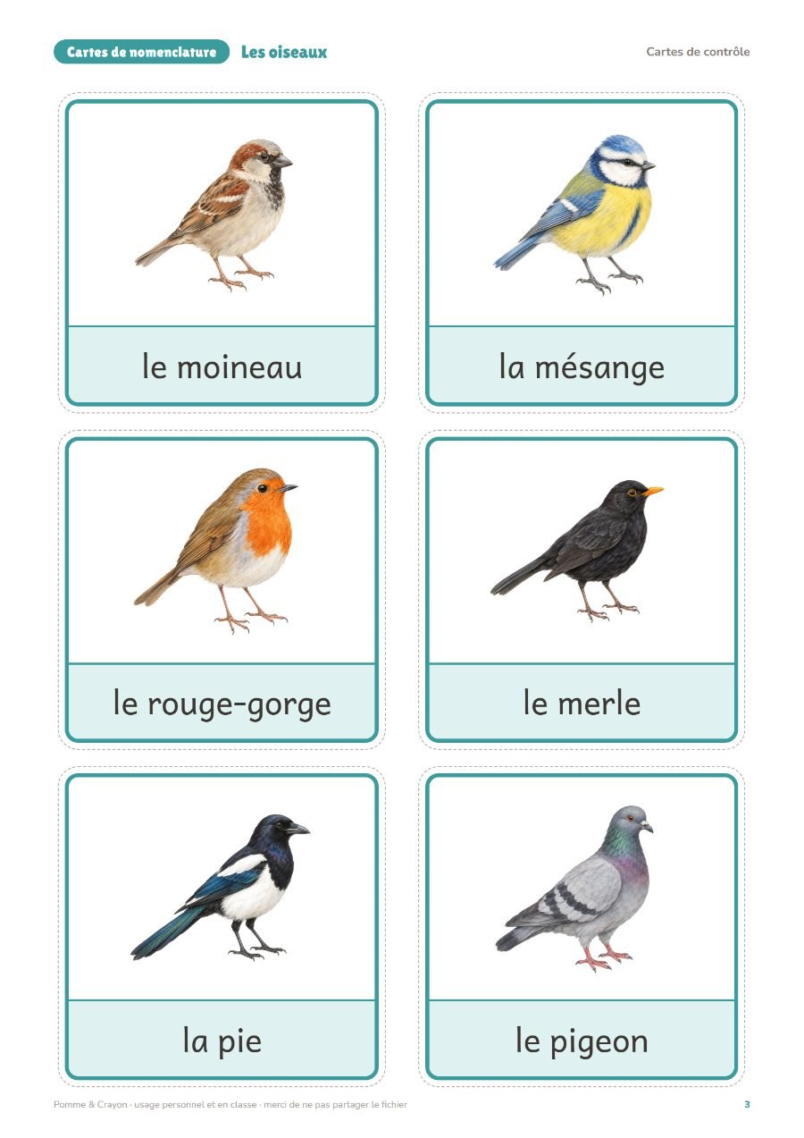 Les oiseaux : Les cartes de contrôle
