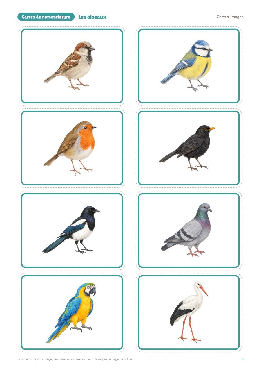 Les oiseaux : Les cartes-images