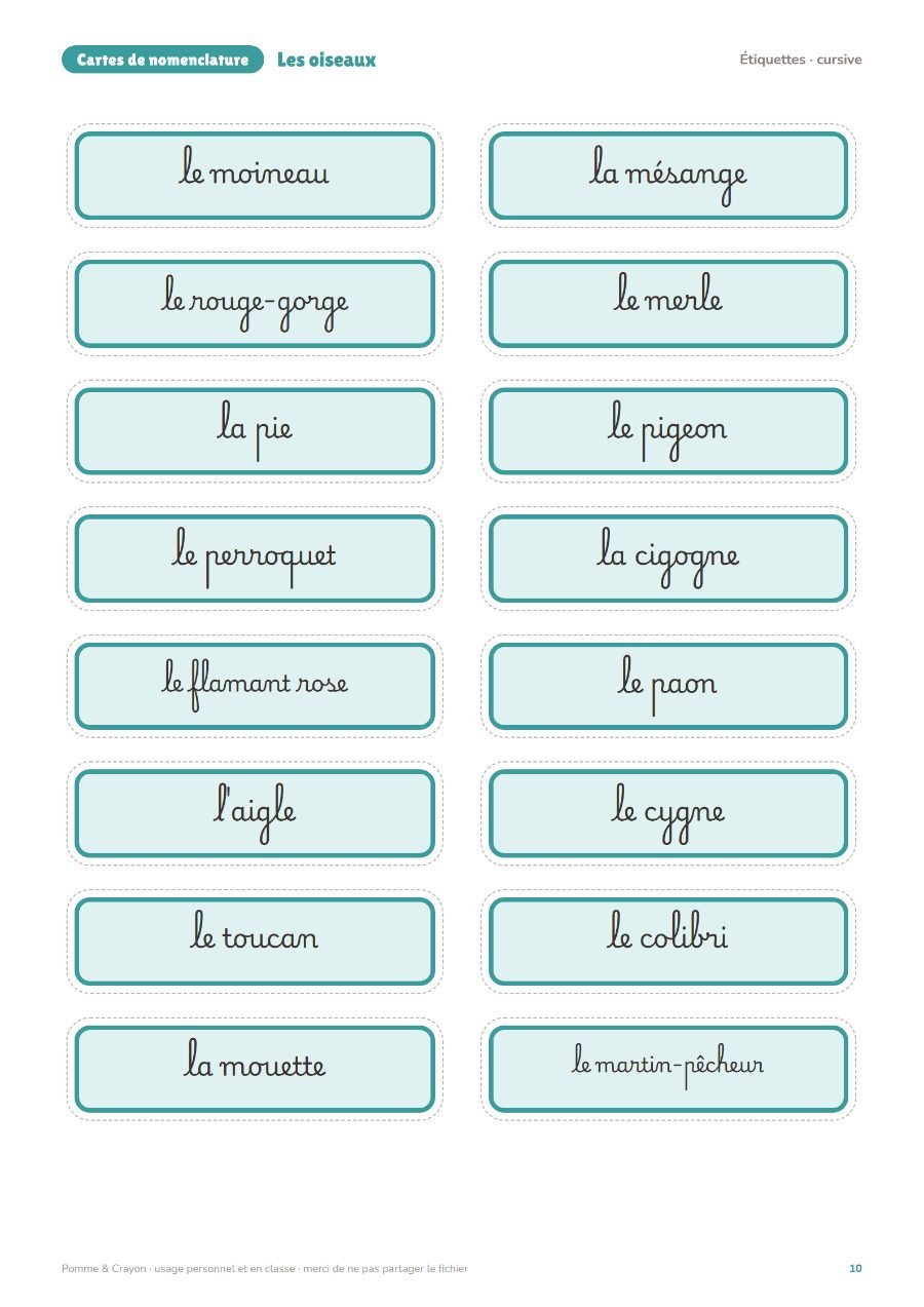 Les oiseaux : Les étiquettes en cursive