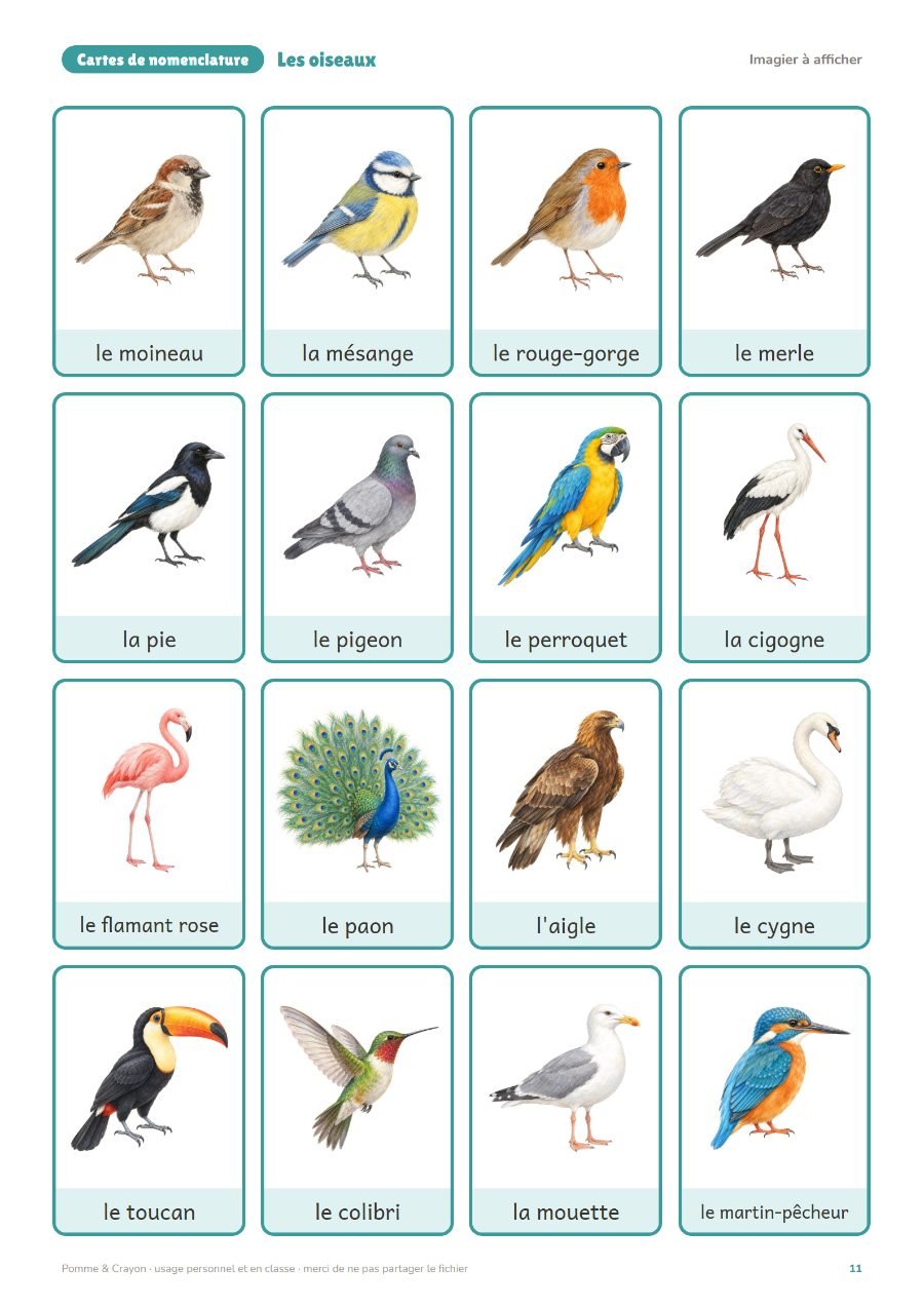 Les oiseaux : L'imagier à afficher