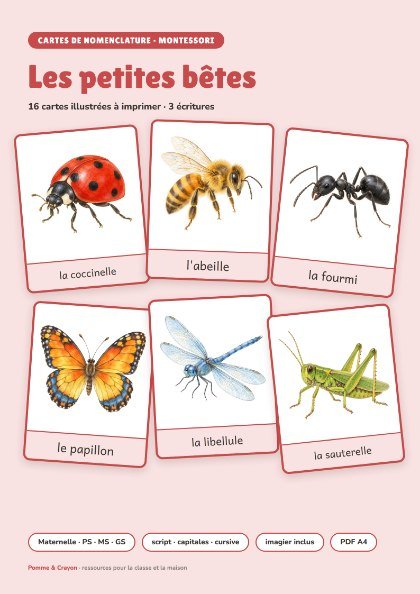 Cartes de nomenclature à imprimer : Les petites bêtes