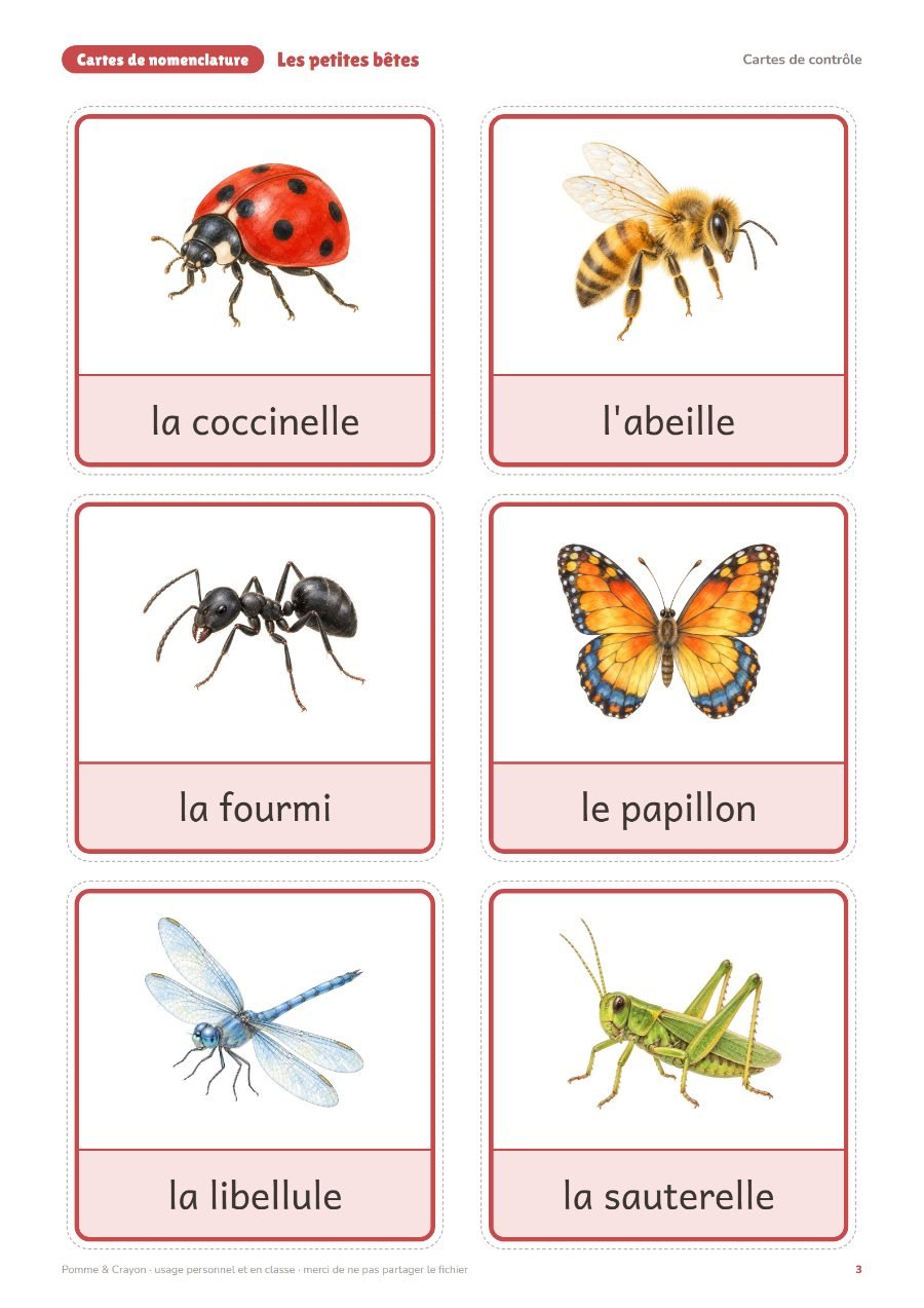 Les petites bêtes : Les cartes de contrôle