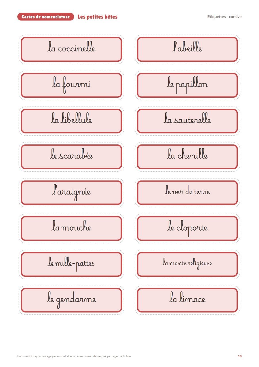 Les petites bêtes : Les étiquettes en cursive
