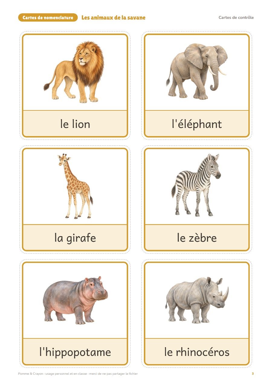 Les animaux de la savane : Les cartes de contrôle