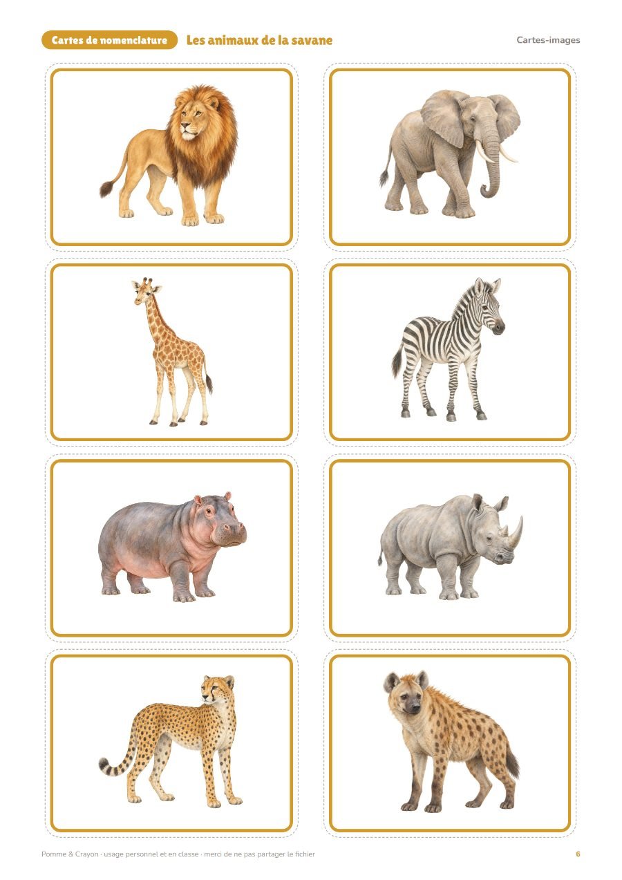 Les animaux de la savane : Les cartes-images