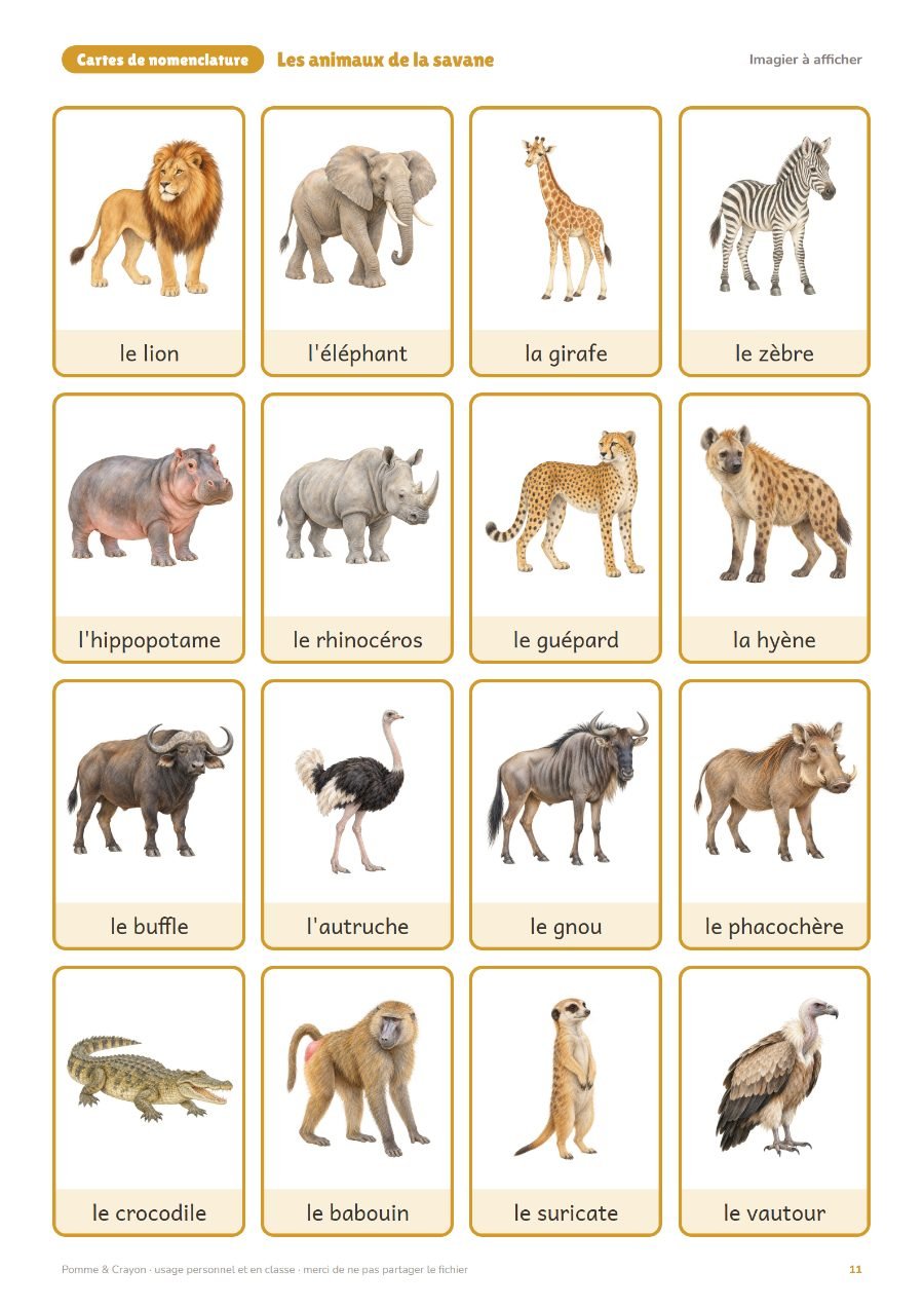 Les animaux de la savane : L'imagier à afficher